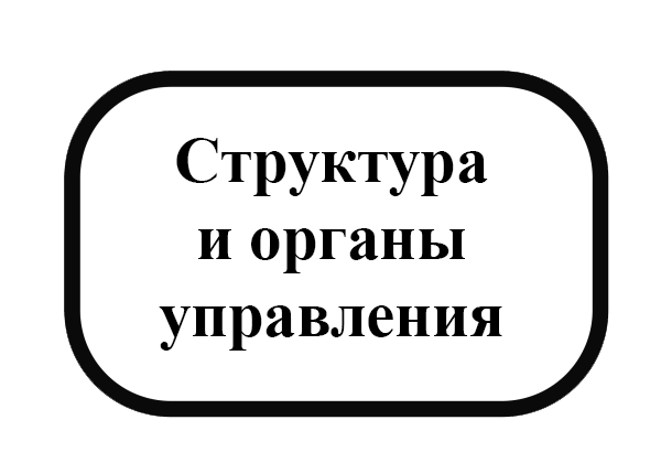 Структура и органы управления